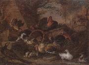 unknow artist Still life of fowl in a farmyard,with a cat stealing a bantam chick painting